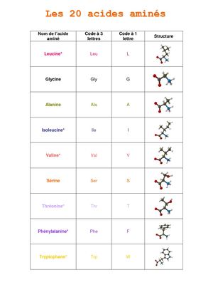 Acides Amines 3 (1)