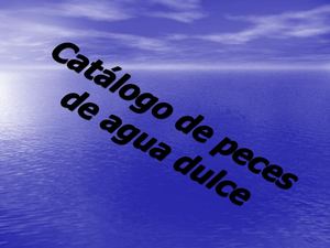 Catálogo De Peces De Agua Dulce