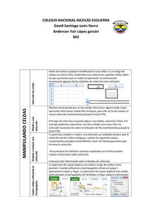 Manipulacion De Celdas