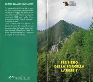 Parco Dolomiti Friulane - Sentiero Forcella Lareseit HQ