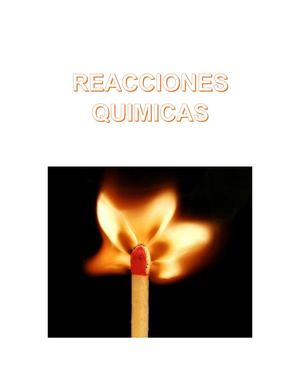Reacciones Quimicas