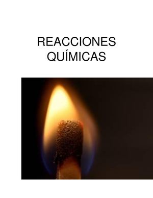 Reacciones Químicas