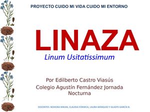 LINAZA