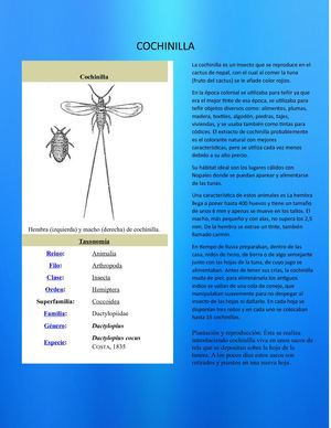 COCHINILLA
