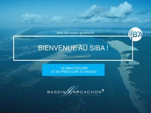Présentation Générique Siba 2017