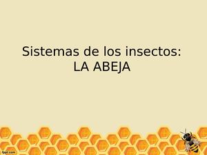 Sistemas De Los Insectos