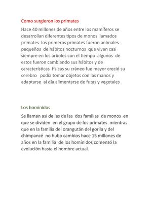 AMOR DE MI VIDA HIJAComo Surgieron Los Primates