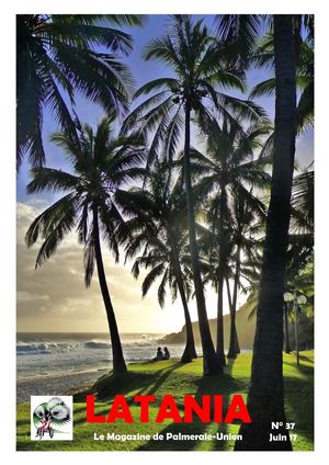 Latania N° 37