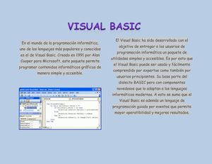 Visual Basic