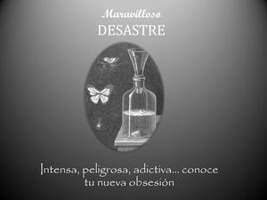 Analisis Literario: Maravilloso Desastre.
