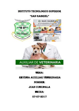 veterinaria san gabriel