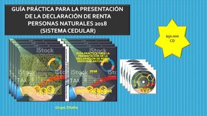 Guia Practica De Renta