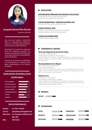 Cv Jacquelin Peña Vicente Compressed