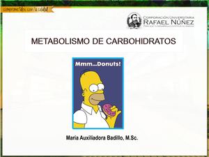 5 Metabolismo De Carbohidratos