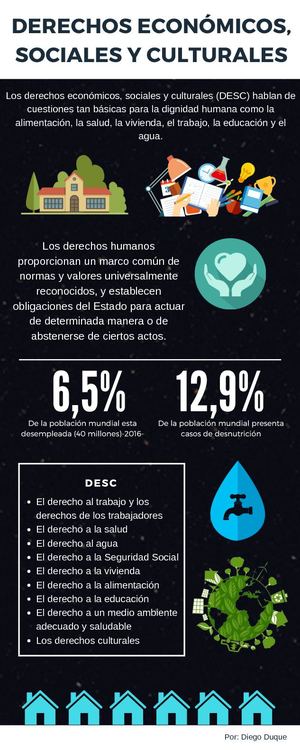 Derechos Economicos, Sociales Y Culturales