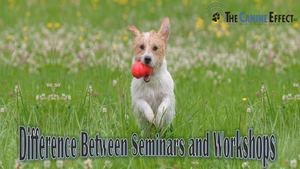 Difference Between Seminars And Workshops