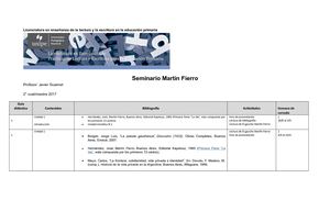 Plan De Trabajo Martín Fierro