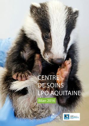 Bilan Centre de soins 2016