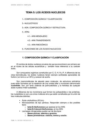 Ácidos Nucleicos