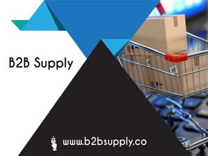 Umbrella Wholesale Supplier | B2bsupply