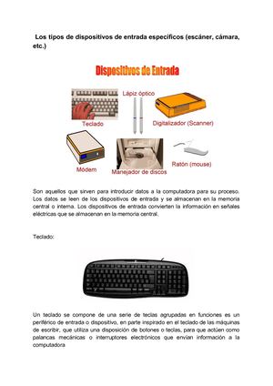 Los Tipos De Dispositivos De Entrada Específicos