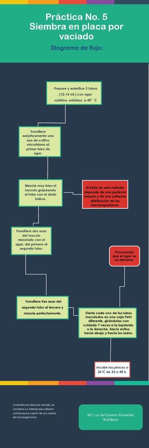 Diagrama De Flujo Práctica No 5