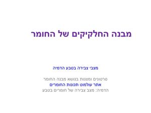 7cbbd0a4 7134 455f Af25 155ff2286cc4