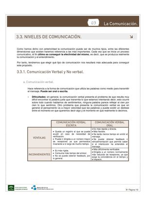 Niveles De La Comunicacion