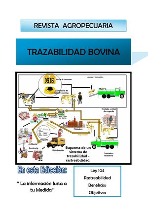 Publicación2