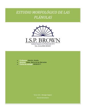 Tp Vegetal (Germinador)