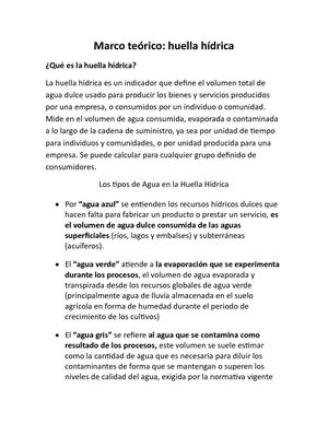Marco Teórico