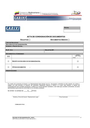 Acta De Consignacion De Documentos