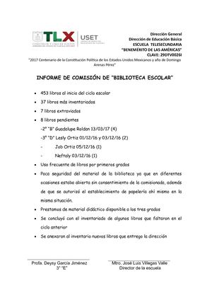 Informe De Comision De Biblioteca Dey