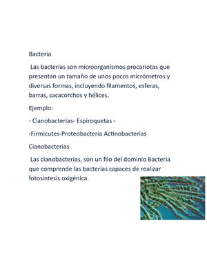 bacterias c