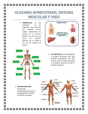 Glosario Homeostasis