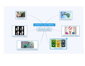 Mapa Mental Medio Ambiente
