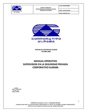 Guia Supervision En Los Servicios Almaba
