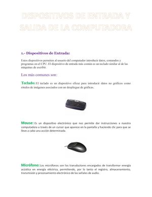Dispositivos de Entrada Y Salida de la Computadora