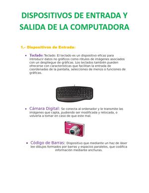 Entrada Y Salida de la Computadora