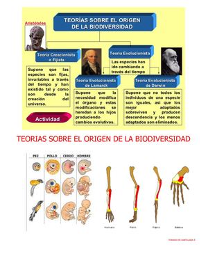 Teorias Sobre El Origen De La Biodiversidad