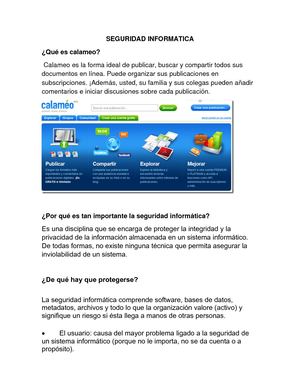 Seguridad Informatica Nicol Martinez