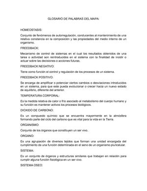 Glosario De Palabras Del Mapa Conceptual homeostasis