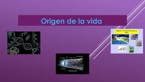 Origen De La Vida