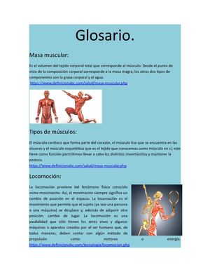 Glosario sistema oseo muscular