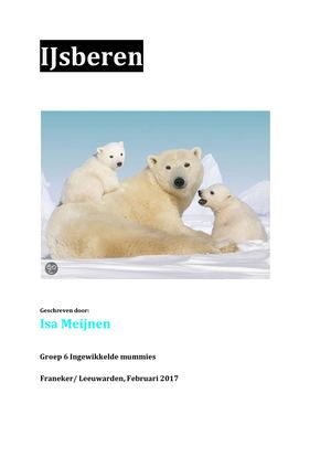 Isa IJsberen Werkstuk