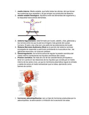 Glosario
