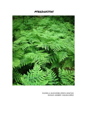 Bloog 1 Pteridofitas (1)