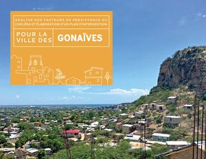 Analyse Des Facteurs De Persistance Du Choléra Et Elaboration D'un Plan D'intervention - Gonaives