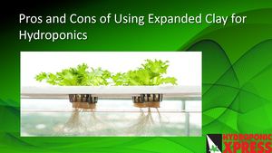 Pros And Cons Of Using Expanded Clay For Hydroponics