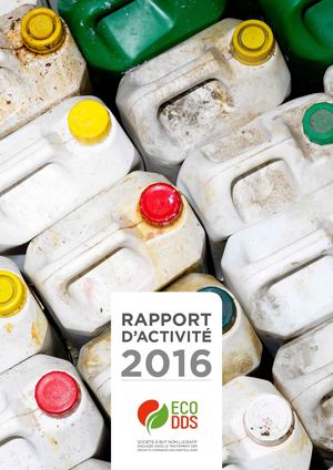 Eco Dds 30 06 17 Rapport Activite A4 40p Exe1 4jmg